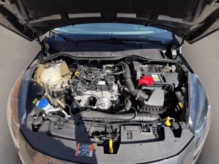 FORD Fiesta 5p 1.1 titanium 75cv