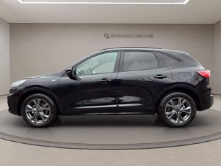 FORD Kuga 1.5 ecoblue st-line 2wd 120cv