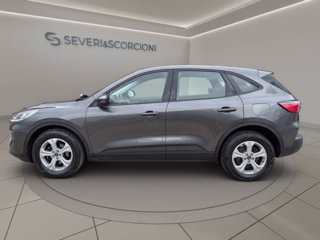 FORD Kuga 1.5 ecoblue connect 2wd 120cv